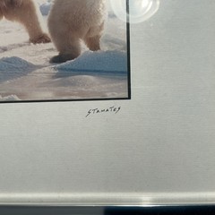 Vintage Photo Jim Stamates Polar Bear Sparring Framed Matted 10.25”x 8 3/8”