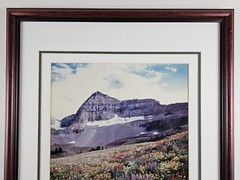 Signed Limited Edition Aaron Goldenberg 35mm Art Photograph, Utah 39×24 Framed