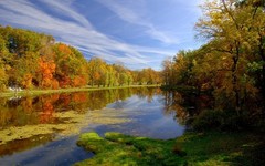 Digital Picture Image Photo Pic PNG JPEG Mobile Wallpaper