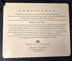 Excellence King Of The Skies Eagle Photo Art Framed Frank Oberle Photography