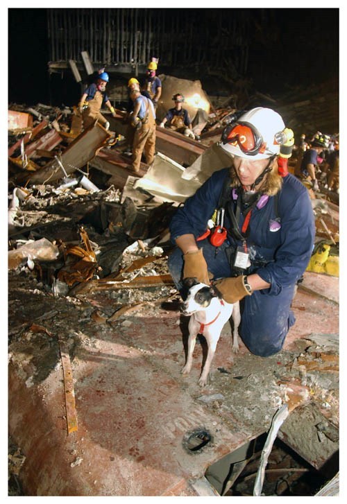World Trade Center 9/11 Working Rescue Dog Silver Halide Photo – Ver 1