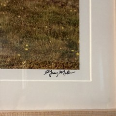 Gray Malin Signed and #6 Framed Matted Color Photo Airplane Vintage Autos Dog