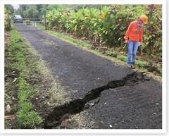 Old Kalapana Road Crack Kilauea Volcano 2018 Silver Halide Photo
