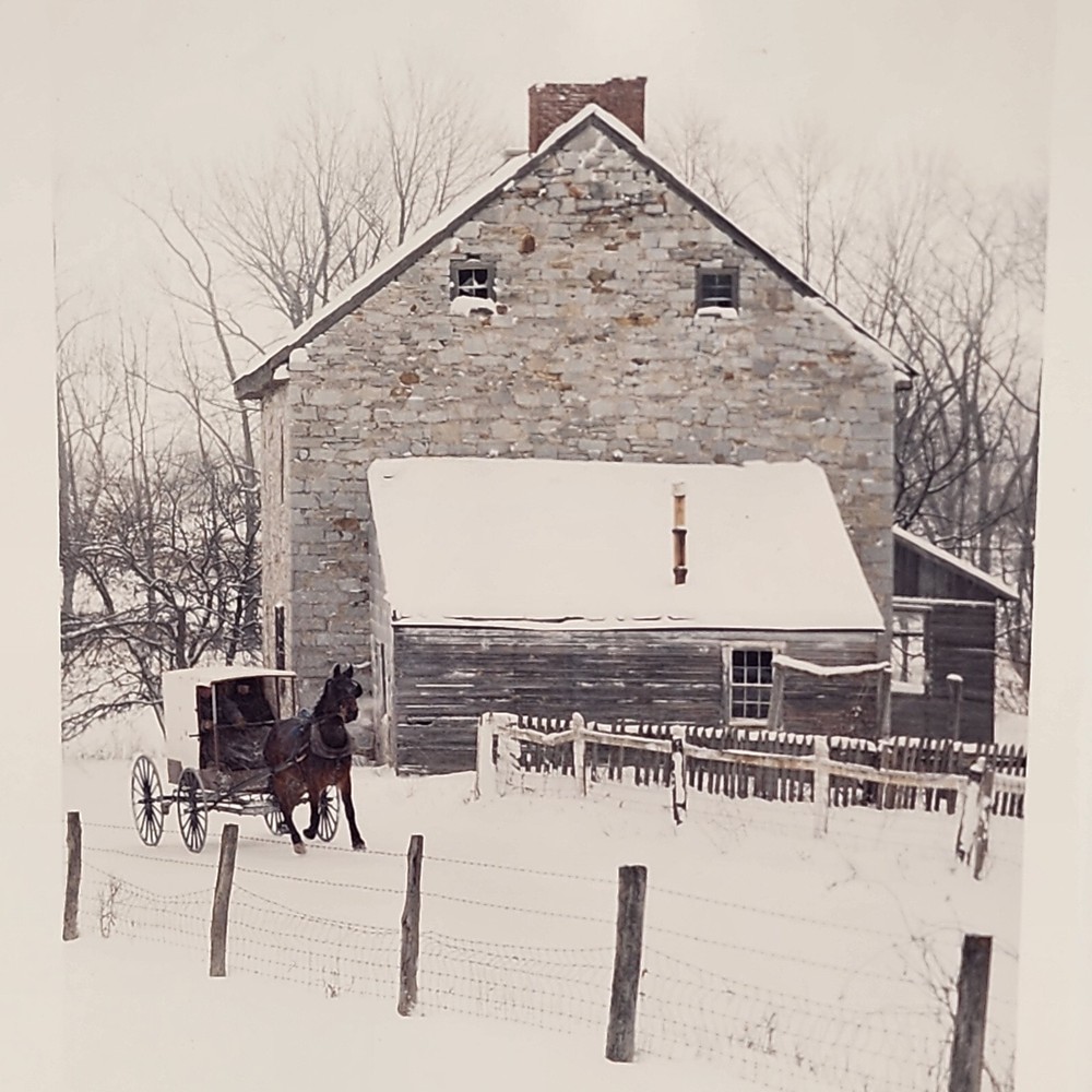 Dick Brown 8×10 Photo Amish Horse & Buggy Winter Signed 75/250 Authentic Country