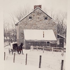 Dick Brown 8×10 Photo Amish Horse & Buggy Winter Signed 75/250 Authentic Country