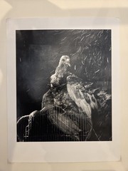 Debbie Fleming Caffery Tomas Coytee 1995 11 by 14 Signed Print 1996 Turkey