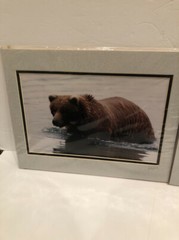 Lot Of 2 11X14” Matted Grizzly Bear Photos By Famous Photographer Wendell Welch