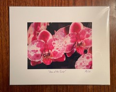 Original photographic print «Show of the Twins» by Michael Blumenstock