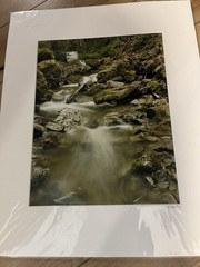 Signed Art Photography Ohlone Wilderness Creek Sunol CA 16×20 Print by K Fox