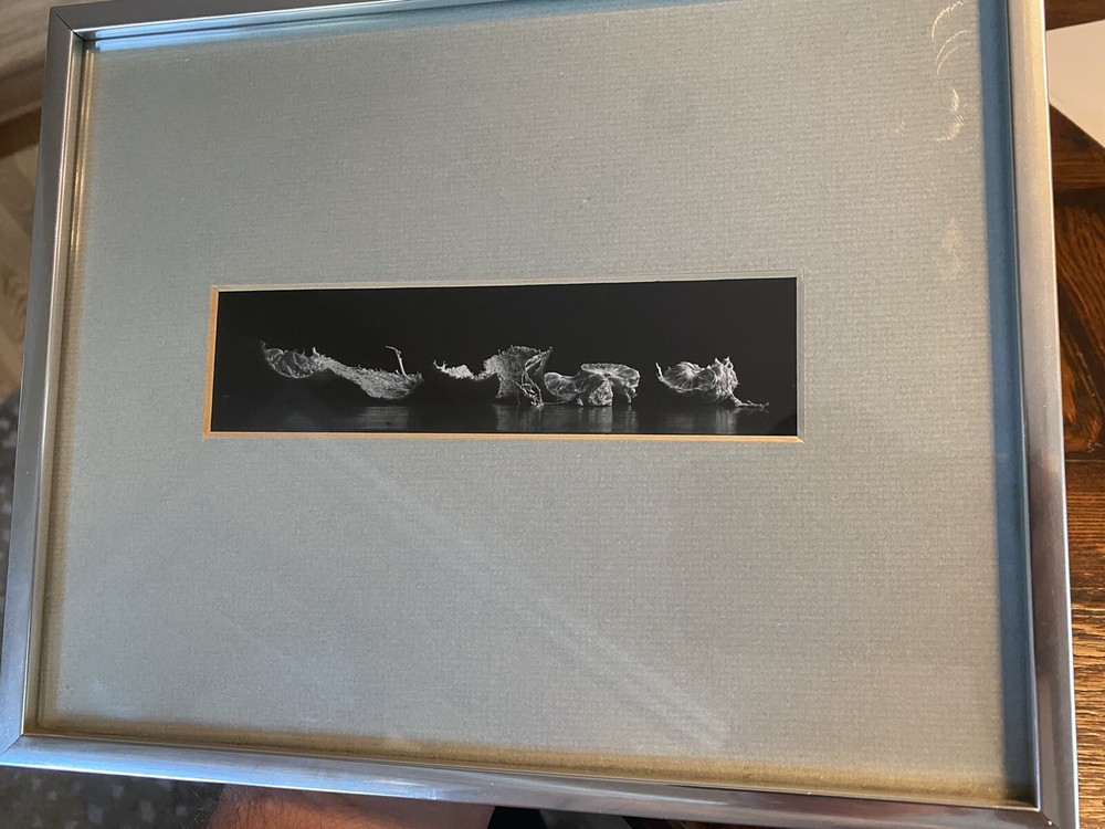 1983 art photographer RONALD C. STARK modern art b/w PHOTO mcm S/N