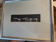 1983 art photographer RONALD C. STARK modern art b/w PHOTO mcm S/N