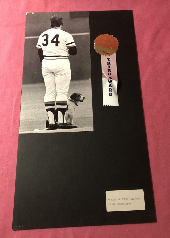 Vintage Photo On Board Baseball Player Dog National Anthem 6×12 Art Contest