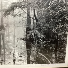 Blair Pittman: «Old River» – Original Gelatin Silver Print Photograph