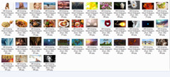 100 Amazing Mixed Desktop Computer Backgrounds Wallpaper Bundle Pack 330
