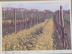Artist Doreen Wynja Pair Vintage Photograph Art Wine Country Signed Matted EUC!!
