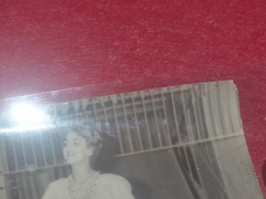 [CIRCUS] Large Vintage Photo / The Wise Bears Circa 1970 40 X 30 cm