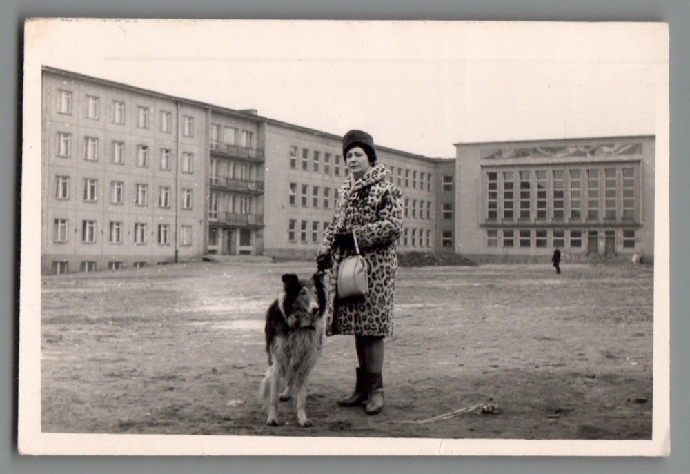 Photo Woman in Leopard Almond with Collie Kalisz Kalisch Poland 1960s (F2053)