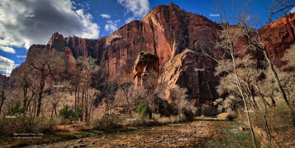 Zion National Park Utah January Winter #11 Poster Photo Print ZP21
