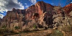 Zion National Park Utah January Winter #11 Poster Photo Print ZP21