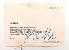 2006 LISTED GERMAN NILS-UDO SIGNED LIMITED EDITION ART PHOTO POOL of HYDRANGEAS