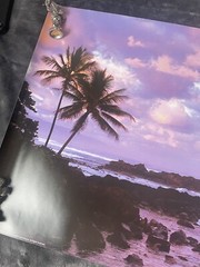 Tropical Sunset Ocean Palm Tree Landscape Brad Wagner 18×22