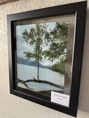 Amanda Eunice «Lake McDonald Glacier, Montana» Framed Color Photo