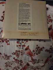 New Sealed John Fulton Original Photo Art Red Cardinal Numbered Signed 1988