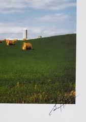 Fine Art Photography Color Image WI Farmland 11 X 8 1/2 in Signed