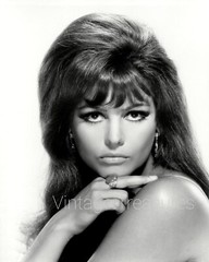 Italian Model and Actress Claudia Cardinale Portrait Photo Print Poster