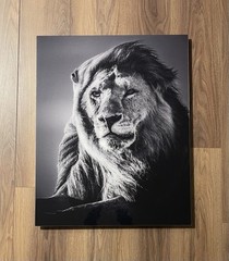 Baheux Laurent 2007 ‘Lion In The Wind V’ Limited Edition #33/500 • Framed