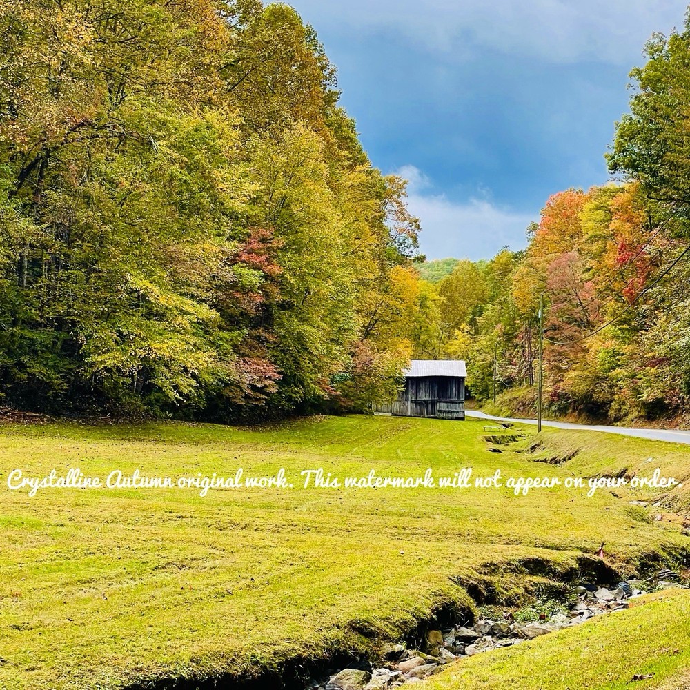 8×8 Square Autumn Tennessee Backroads Giclee Photography Print TN Country