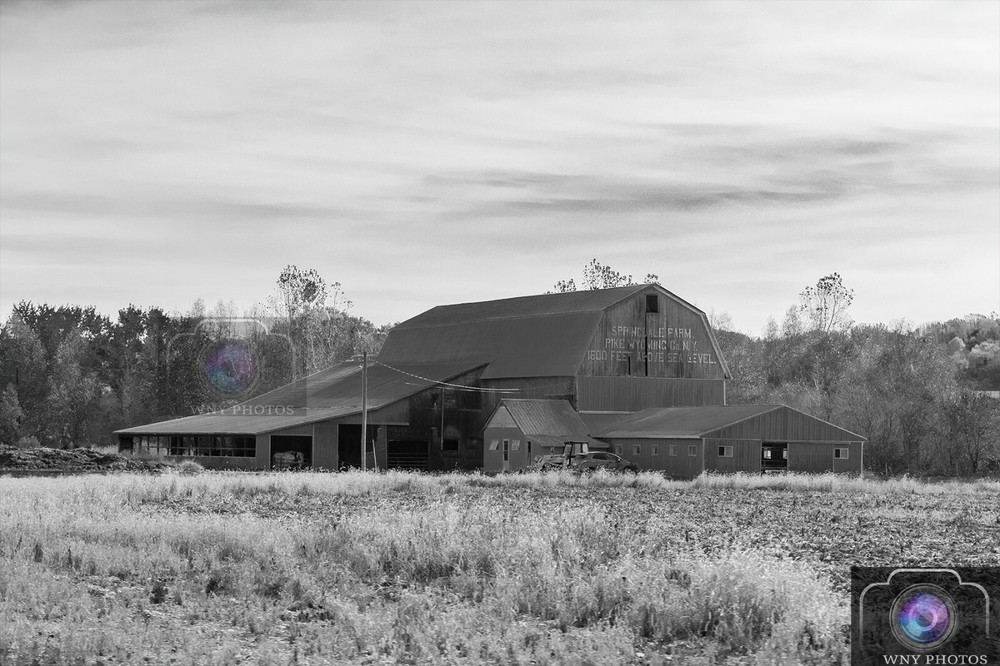 12×18 Photograph Print of Barn Black and white – FREE SHIPPING