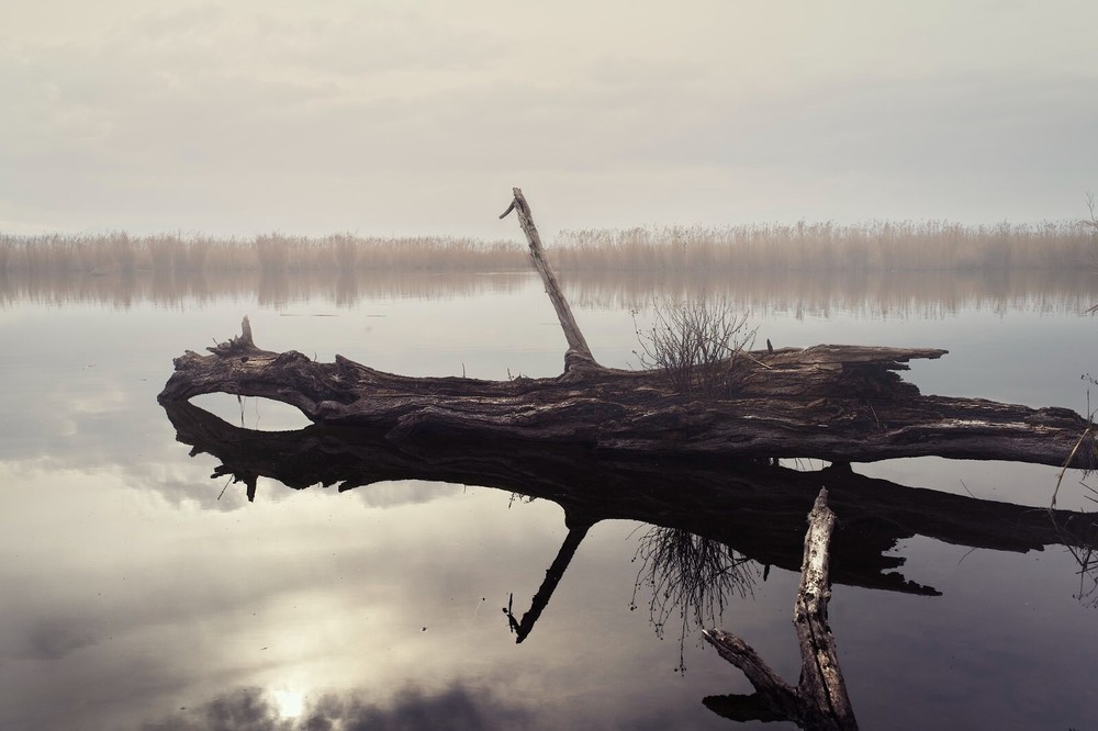 sculpture in the lake