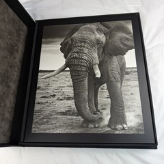 David Yarrow Wild Encounters Signed Book Rizzoli Artist Proof AP Clamshell Box
