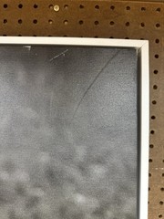 Rare Spotted Albino Canvas Wall Art From The Goats Of Roan By Jeffrey Stoner