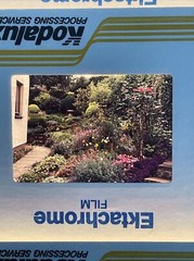 Lot Of 40 Vintage Worldwide Vacation Landscape Architecture 35mm Color Slides