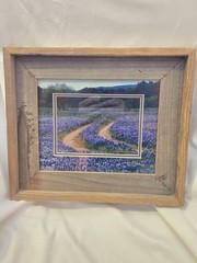 DAN RICHARDS Texas Hill County Blue Bonnet Flower Framed Matted Photograph Cedar