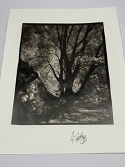 Jim Fitzgerald Untitled Photo Signed Photograph Carbon Transfer