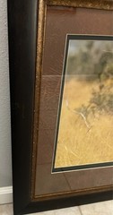 DAVID R STOECKLEIN Mother Child Texas Longhorn Signed Framed Photo 30.5″ x 41″