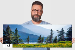 Botanical Wonderland: Summer Wildflowers at Glacier Montana Print