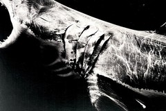Matt Draper Art Show Announcement Card 2025 – Within One Breath – Leica Gallery
