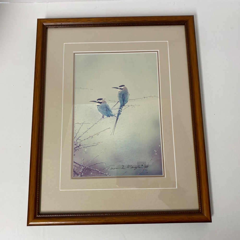 Thomas D Mangelsen Signed & Numbered «African Bee-Eaters» Color Photography