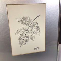 Framed Silver Autumn Leaf Design Art 10.5 x 8.5 Inch Heavy Custom Frame