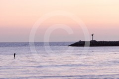 ART PHOTOGRAPHY! «Getting to the Point» Serene sunset & paddleboarder 12×18 (C)