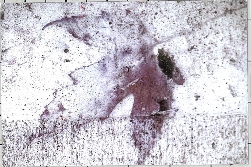 Robert Smith (Photographer) 2001 Art Announcement Card – Eyes Wide Open