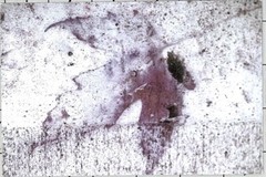 Robert Smith (Photographer) 2001 Art Announcement Card – Eyes Wide Open