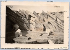 Bremerhaven 1939 – Polar Bears at the Zoo Zoo – 1930s – Photo 10x7cm