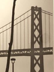 Mahatma Gandhi Walking Towards Bridge – San Francisco, Dennis Dooley Photography