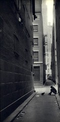 1952 Henri Cartier Bresson New York City Solitude Moment with Cat Art Photo