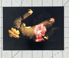 ALBERT CHONG – PROJECTIONS – Art Announcement Card 2001